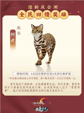 天龙八部私服属性栏